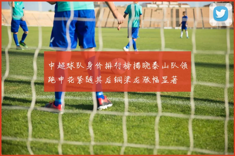 中超球队身价排行榜揭晓泰山队领跑申花紧随其后铜梁龙涨幅显著