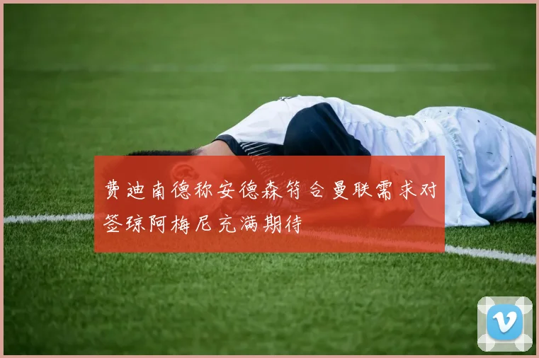 费迪南德称安德森符合曼联需求对签琼阿梅尼充满期待